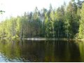 Финляндия. Долгожданное предложение на Сайме в 65 км. от границы. 55 соток соснового леса. в городе Санкт-Петербург, фото 2, стоимость: 3 150 000 руб.