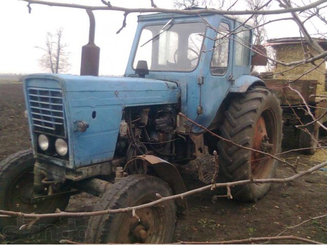 Купить Мтз 50 На Авито В России