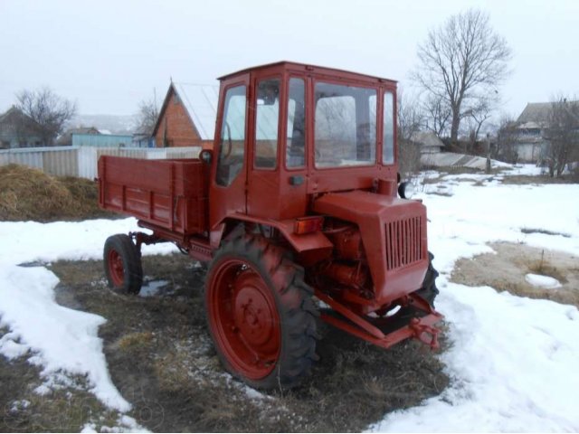 Купить трактор в белгородской. Трактор т16м. Т-16 (трактор). Трактор Колхозный т16. Т16м.