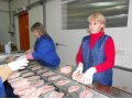 Работа на рыбообрабатывающем заводе в городе Тамбов, фото 1, Тамбовская область