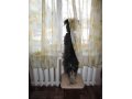 Отдам собачку в хорошие руки в городе Ангарск, фото 4, Иркутская область