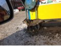 Крупный пес ищет работу охранника вашего дома!! в городе Иркутск, фото 1, Иркутская область