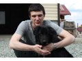 Потерялся черный пес в городе Новоуральск, фото 1, Свердловская область