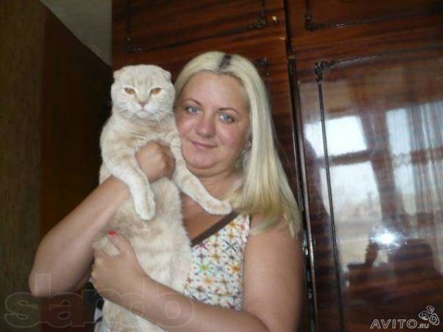 Котик для вязки в городе Ярославль, фото 1, стоимость: 3 000 руб.