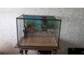 Продам аквариум,террариум в городе Саратов, фото 1, Саратовская область
