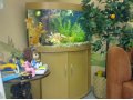 Продам аквариумный комплекс Juwel Trigon 190 в городе Сургут, фото 1, Ханты-Мансийский автономный округ