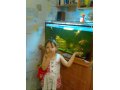 аквариум в городе Надым, фото 1, Ямало-Ненецкий автономный округ