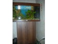 Продам аквариум Ювель 125 литров в городе Петропавловск-Камчатский, фото 1, Камчатский край