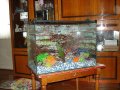 Продается аквариум со всей комплектацией! в городе Владивосток, фото 1, Приморский край