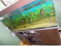 Продаю аквариум 300л. с тумбой, подсветкой и фильтром. в городе Волгодонск, фото 1, Ростовская область