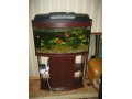 Продается аквариум с двумя золотыми рыбками в городе Сургут, фото 2, стоимость: 10 000 руб.