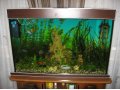 Продам аквариум полный комплект в городе Пенза, фото 1, Пензенская область