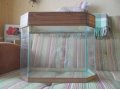 Панорамный аквариум на 50 литров с набором в городе Омск, фото 1, Омская область