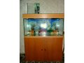Продаю аквариум в городе Астрахань, фото 1, Астраханская область