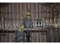 Продам 2 попугаев корелла в городе Тюмень, фото 1, Тюменская область