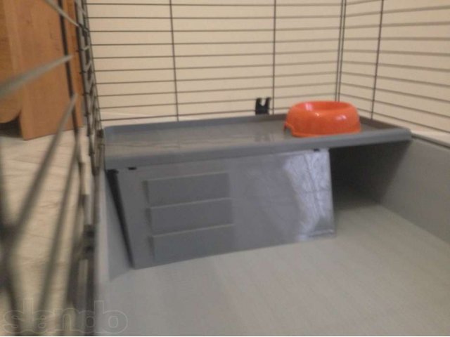 Клетка ферпласт CASITA 100 DECOR для грызунов в городе Ростов-на-Дону, фото 4, стоимость: 3 000 руб.