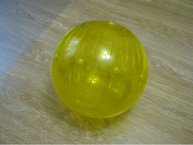 Продаю шар для прогулки грызунов! в городе Тула, фото 1, стоимость: 700 руб.