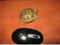 Сухопутная черепаха в городе Салават, фото 1, Башкортостан