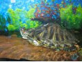 Красноухая черепаха в городе Набережные Челны, фото 1, Татарстан