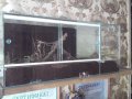 продам террариум-паучатник в городе Новосибирск, фото 1, Новосибирская область