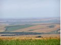 На сезоное пастбище.,берем скот в городе Белокуриха, фото 1, Алтайский край