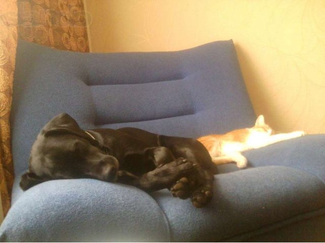 Макс ищет девочку для долгой дружбы или кратких встреч! в городе Стерлитамак, фото 2, стоимость: 0 руб.