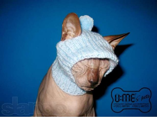 Вязаные шапки и шапочки. Одежда для котов, кошек, сфинксов и др пород в городе Санкт-Петербург, фото 1, стоимость: 540 руб.