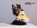 Желтое коктейльное платье. Одежда для маленьких собак и собачек в городе Санкт-Петербург, фото 1, Ленинградская область