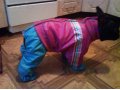 Одежда для животных в городе Тольятти, фото 5, стоимость: 350 руб.