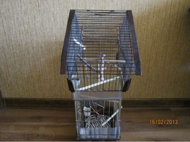 Продам клетку для птиц в городе Уфа, фото 3, Аксессуары