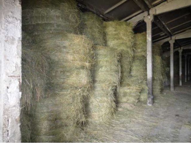 Продам сено клевер люцерна луговое в городе Задонск, фото 1, Аксессуары