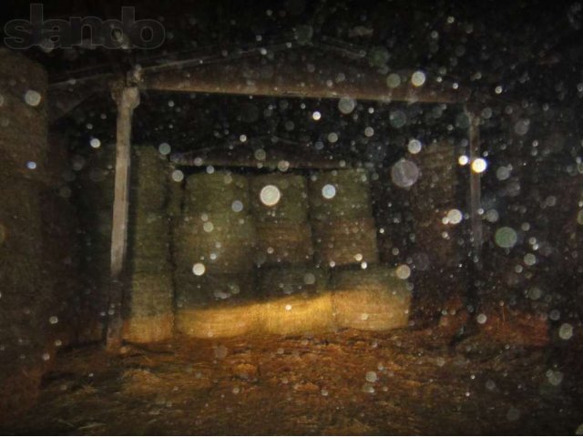 Продам сено клевер люцерна луговое в городе Задонск, фото 5, Липецкая область