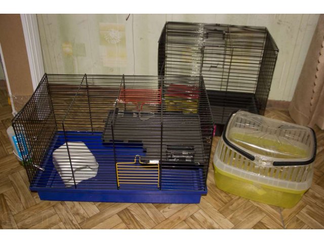 Клетки для крысочек и хомячков в городе Казань, фото 1, стоимость: 850 руб.
