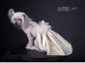 Свадебные платья. Одежда для маленьких собак и собачек в городе Санкт-Петербург, фото 1, Ленинградская область