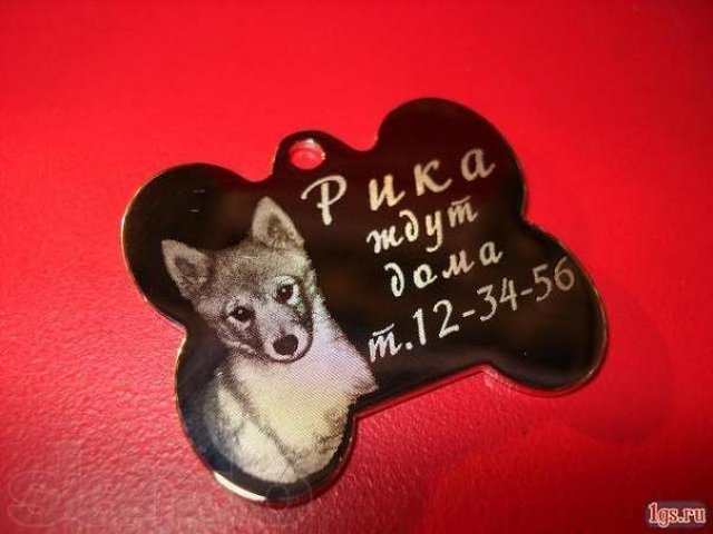Адресник для животных, гравировка в городе Заринск, фото 3, стоимость: 550 руб.