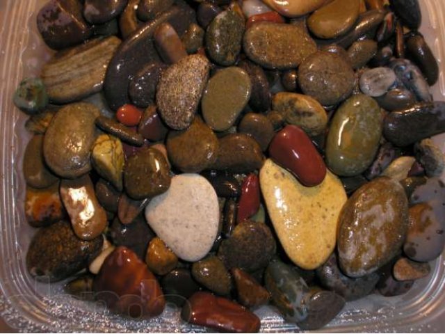 Красивые камни для аквариума в городе Оренбург, фото 1, стоимость: 50 руб.
