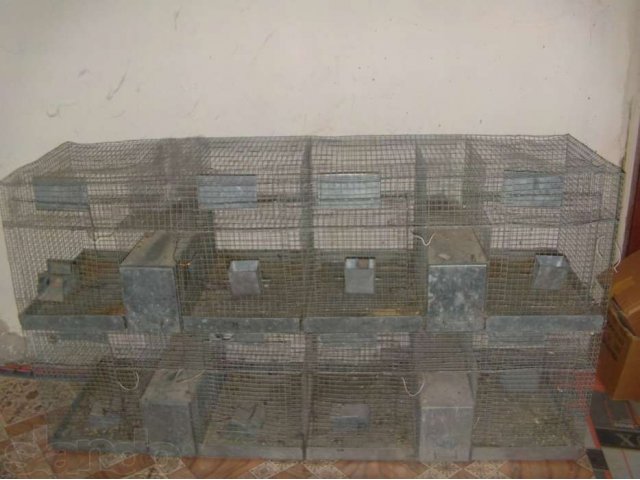 Клетка для шиншилл в городе Узловая, фото 4, стоимость: 15 000 руб.