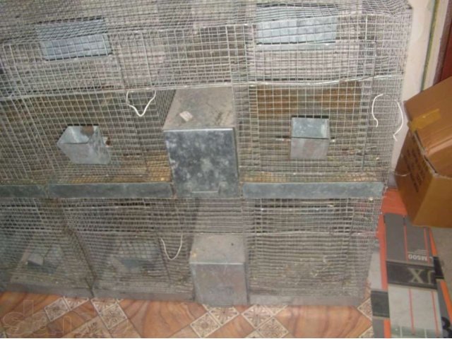 Клетка для шиншилл в городе Узловая, фото 7, стоимость: 15 000 руб.