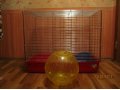 Большая клетка с лотком и прогулочным шаром в городе Ступино, фото 1, Московская область