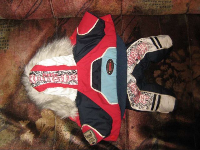Зимний костюмчик для маленькой собачки в городе Тверь, фото 1, Аксессуары