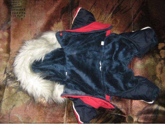 Зимний костюмчик для маленькой собачки в городе Тверь, фото 2, Тверская область