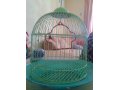 продам клетку для попугаев в городе Чита, фото 1, Забайкальский край