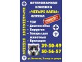 Ветеринарная клиника, аптека в городе Волгоград, фото 1, Волгоградская область