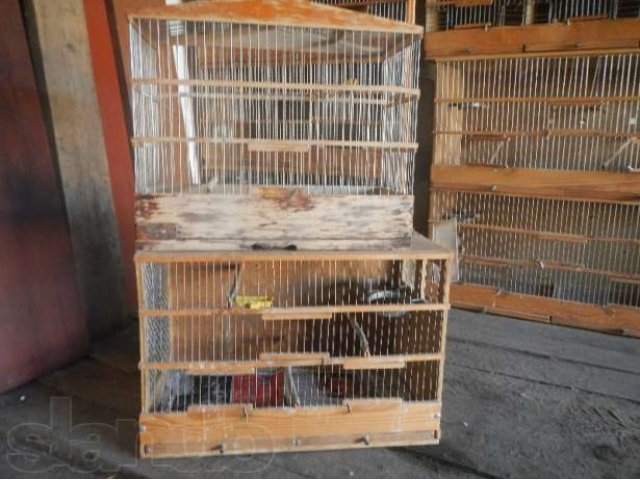 Продаются клетки для птиц в городе Новомосковск, фото 4, Тульская область