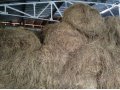 Продажа сена в рулонах по 270-300кг,1 тонна 5000р.и овёс 1т.8000р в городе Тула, фото 1, Тульская область