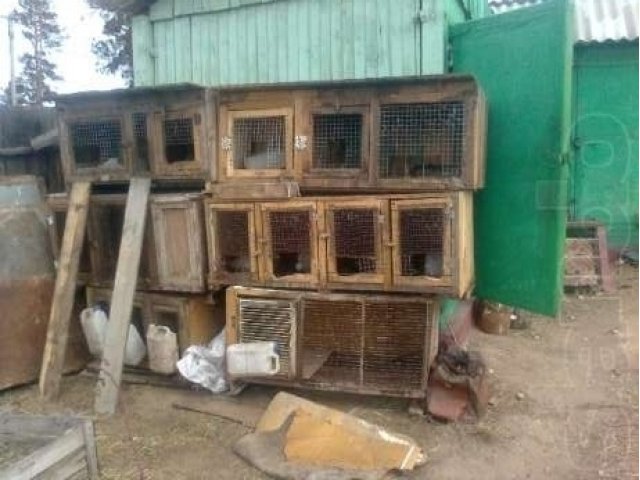 Клетки для кроликов в городе Улан-Удэ, фото 2, Бурятия