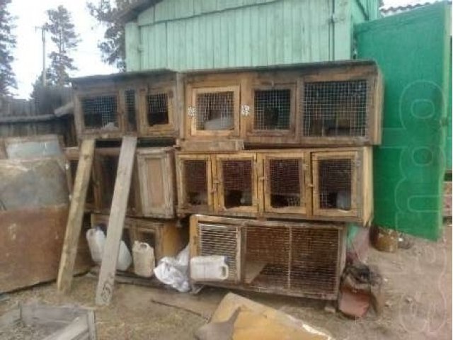 Клетки для кроликов в городе Улан-Удэ, фото 3, стоимость: 150 руб.