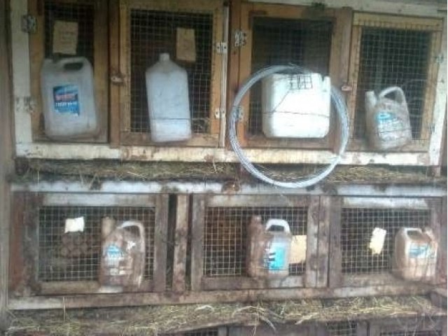 Клетки для кроликов в городе Улан-Удэ, фото 4, Аксессуары