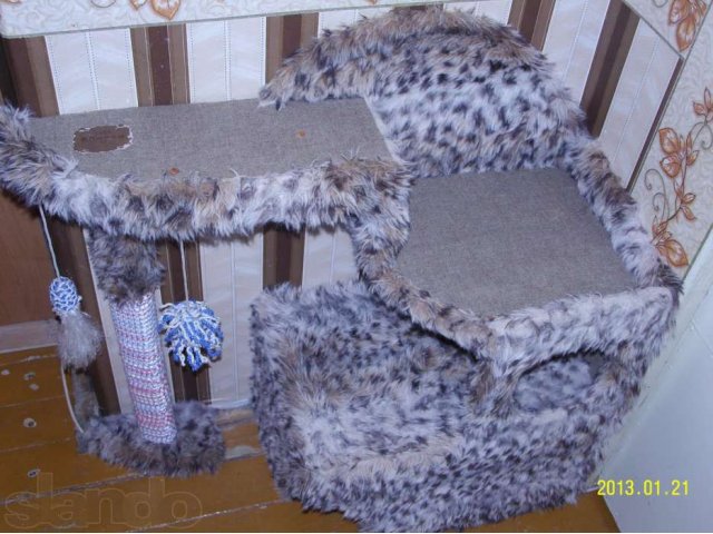 Домик для кошки или в городе Ишимбай, фото 2, Башкортостан