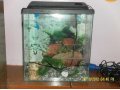 Продаю аквариум с акссесуарами в городе Тверь, фото 1, Тверская область